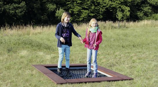 Mini Trampoline