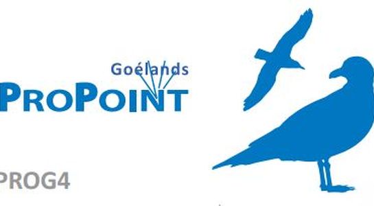 ProPoint - Goélands