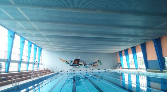 Filet sous plafond - piscine