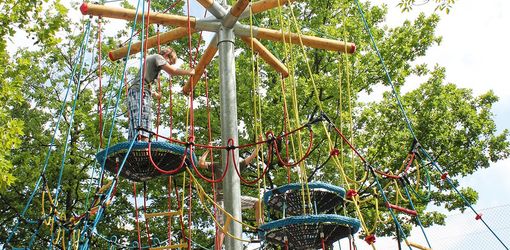 L’Arbre aux Nids Perchés