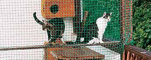 Filet pour chat, vude d'extérieur