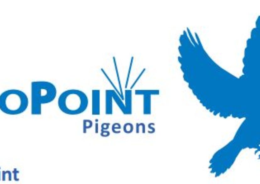 ProPoint - Pigeons