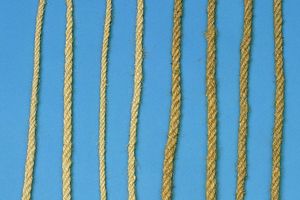 Corde à sauter à l'ancienne, longueur 2.80 m