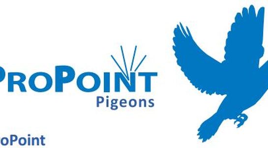 ProPoint - Pigeons