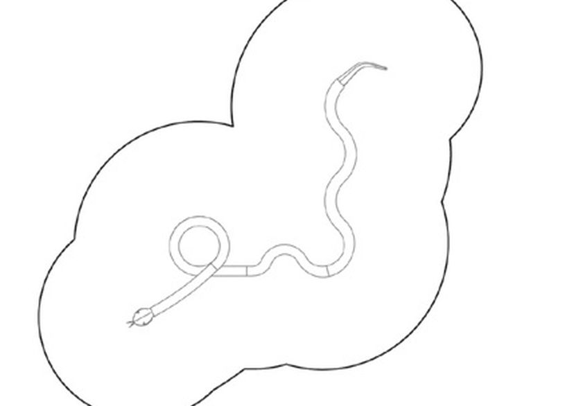Le Python