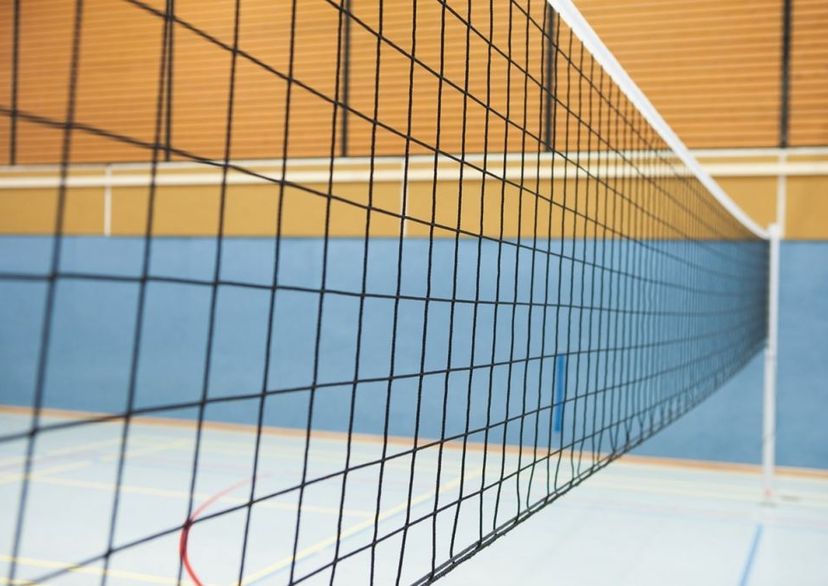 Filet d'entraînement Ø2.3 mm, au ml