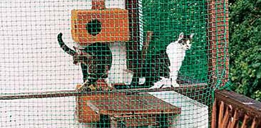 Filet pour chat, vude d'extérieur