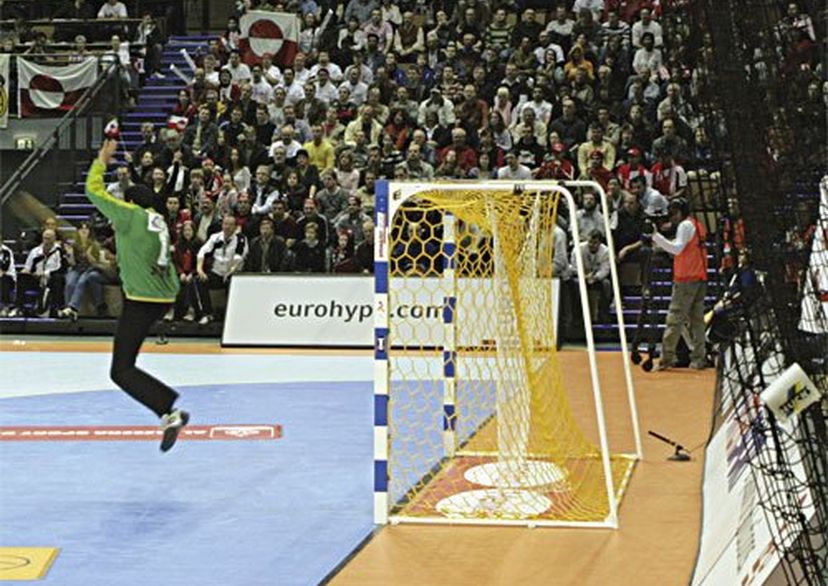 Handball goal net