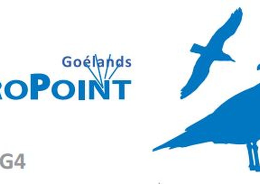 ProPoint - Goélands